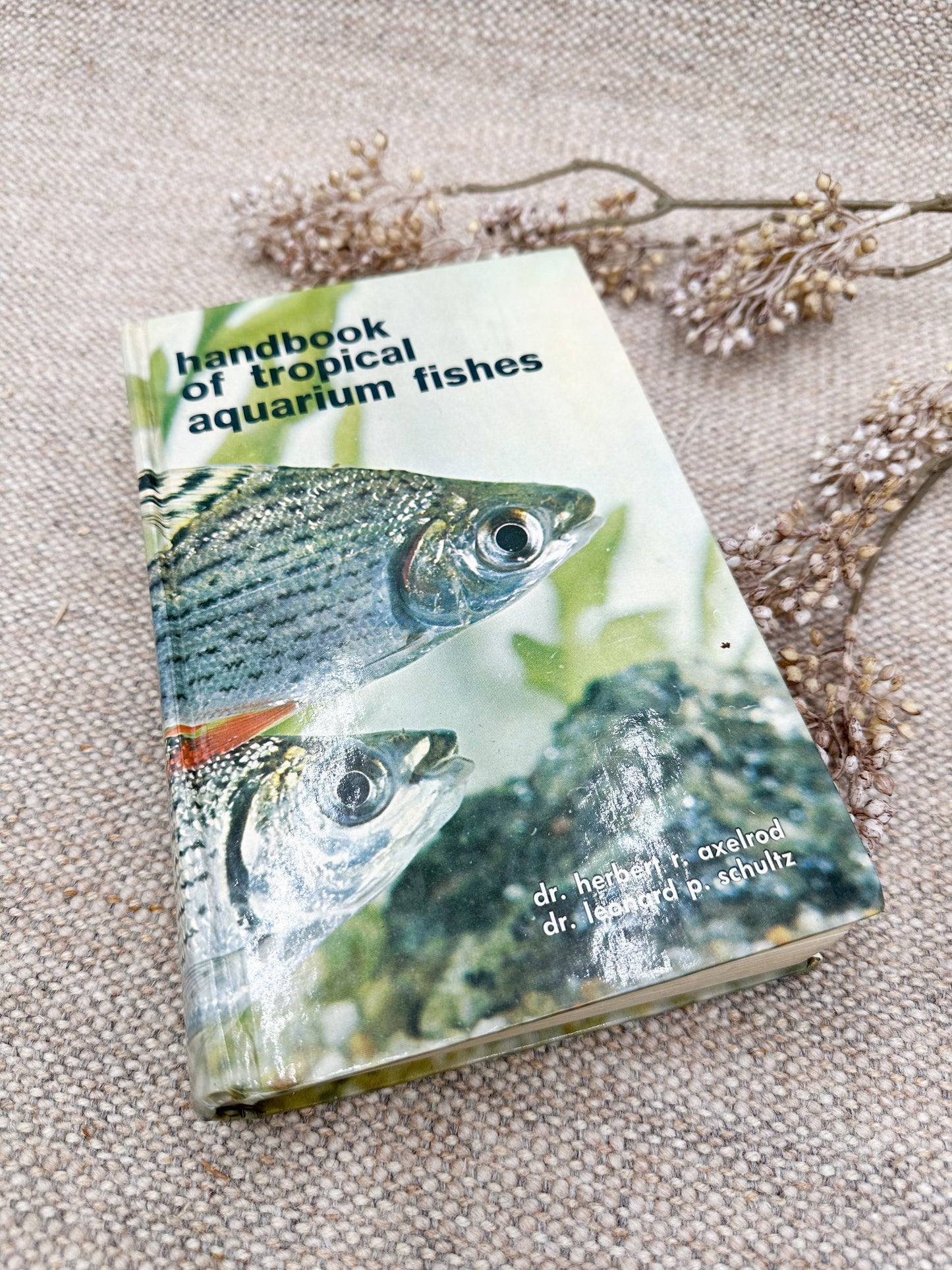 Handbook of Tropical Aquarium Fishes