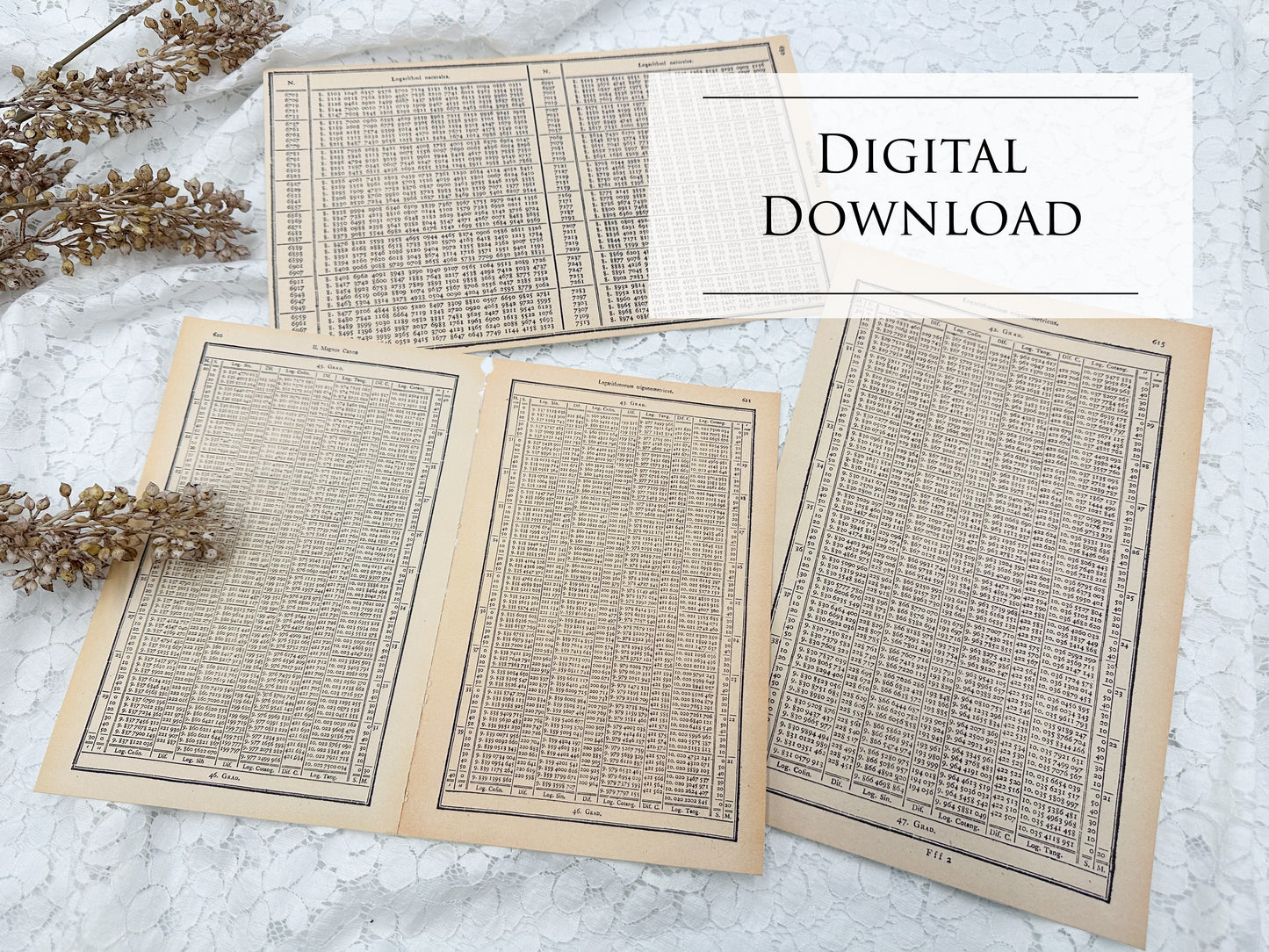 Vintage Tables- Digital Download