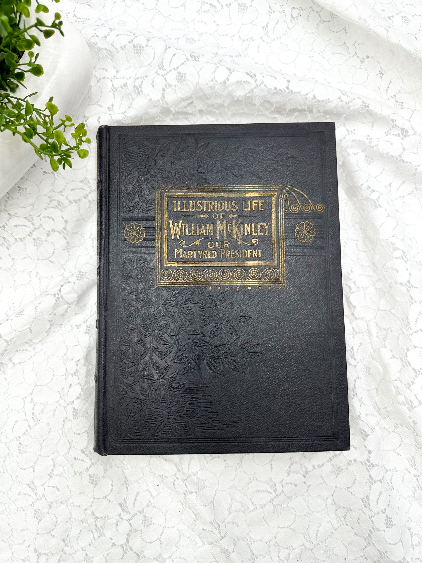The Illustrious Life of William McKinley, 1901