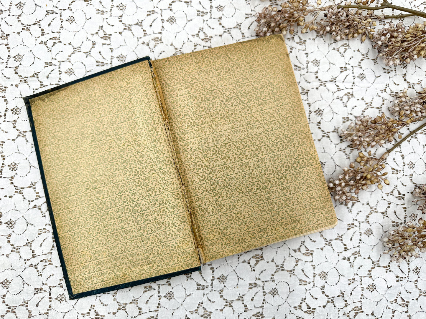 Mistakes of Ingersoll and His Answers