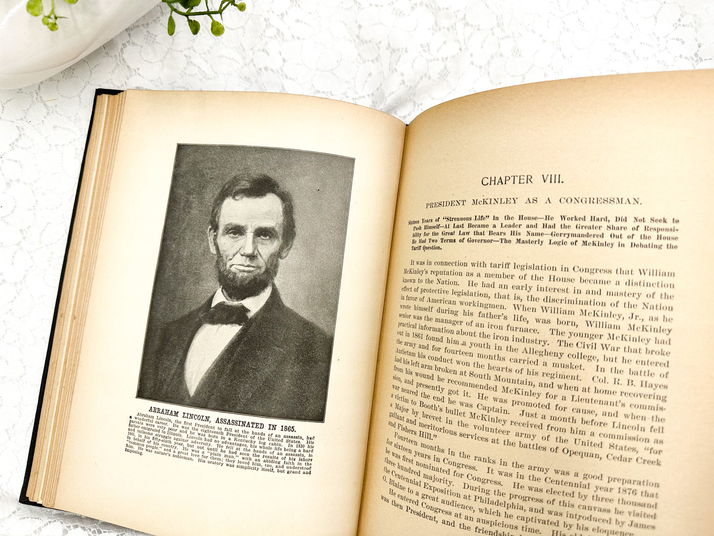 The Illustrious Life of William McKinley, 1901
