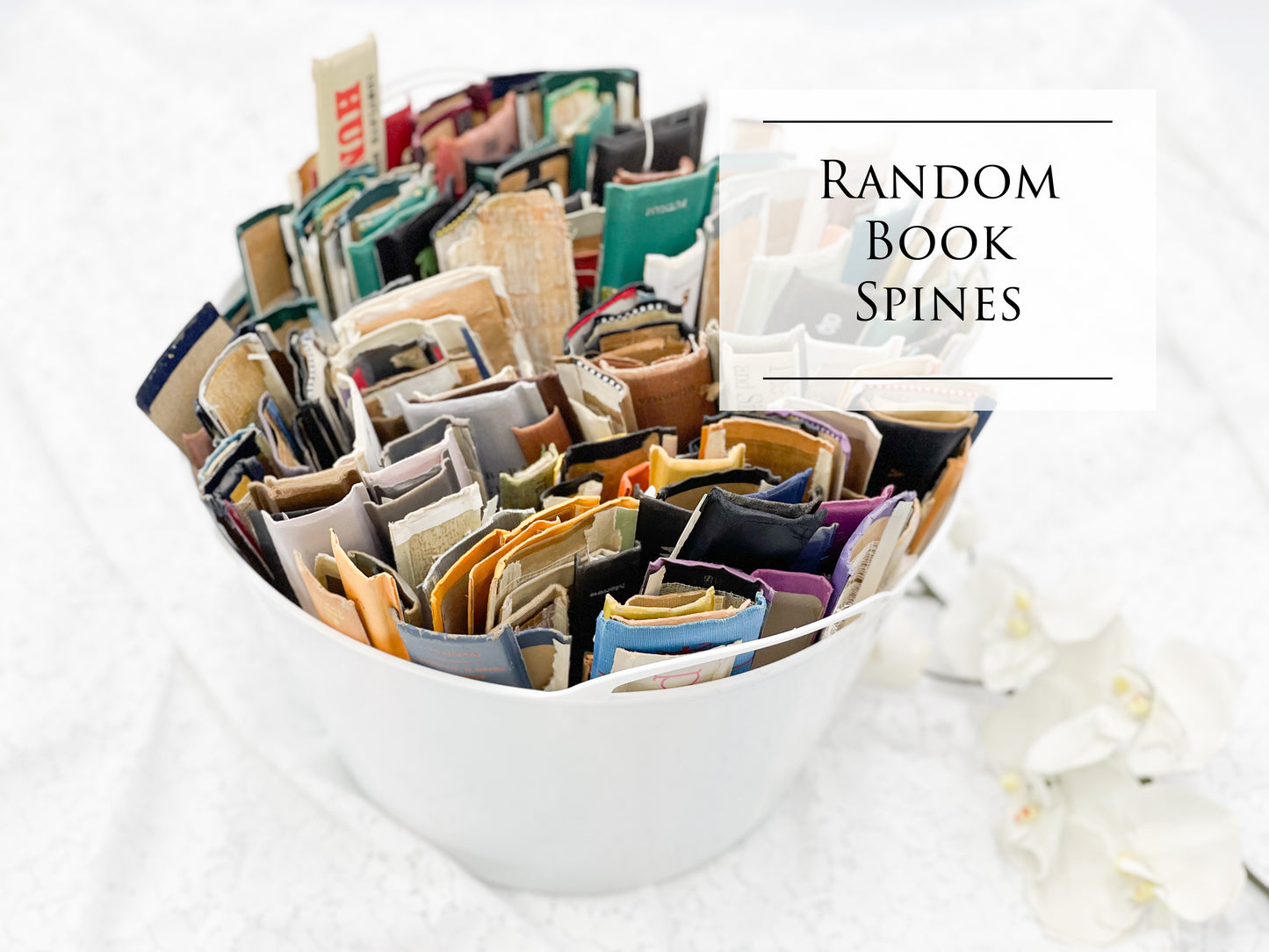 Randomly Selected Book Spines ( Set of 20)