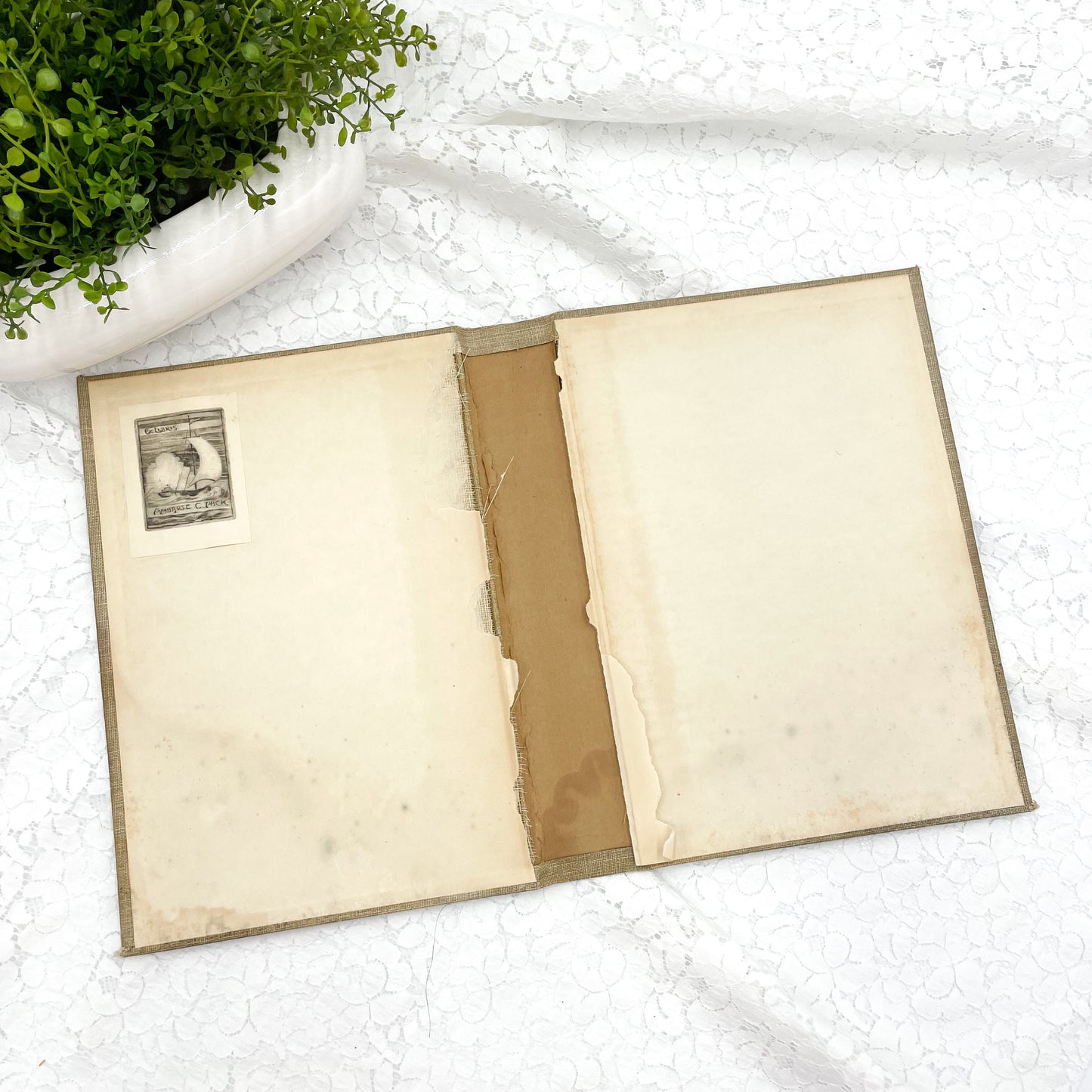 Vintage Book Cover