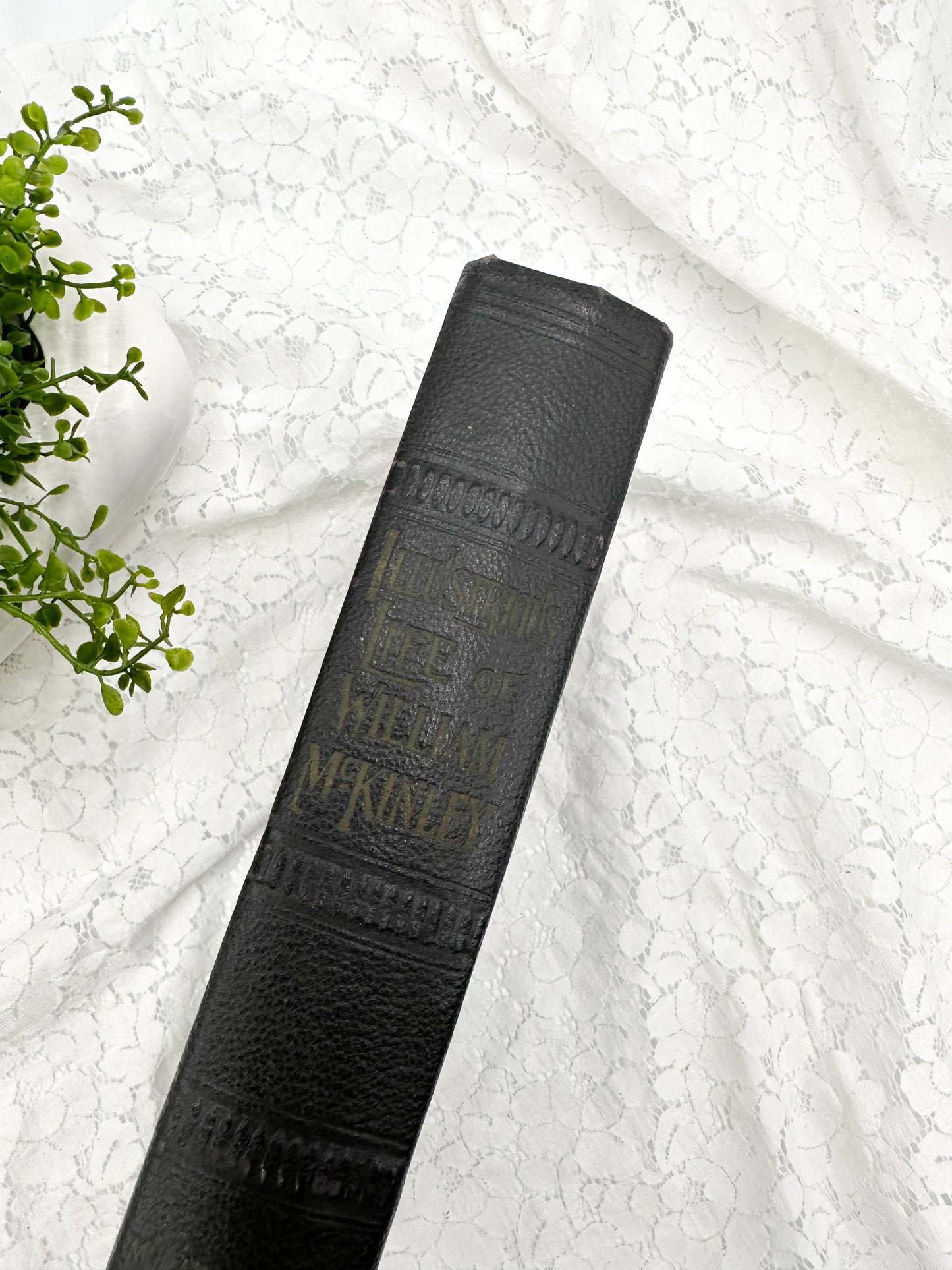 The Illustrious Life of William McKinley, 1901