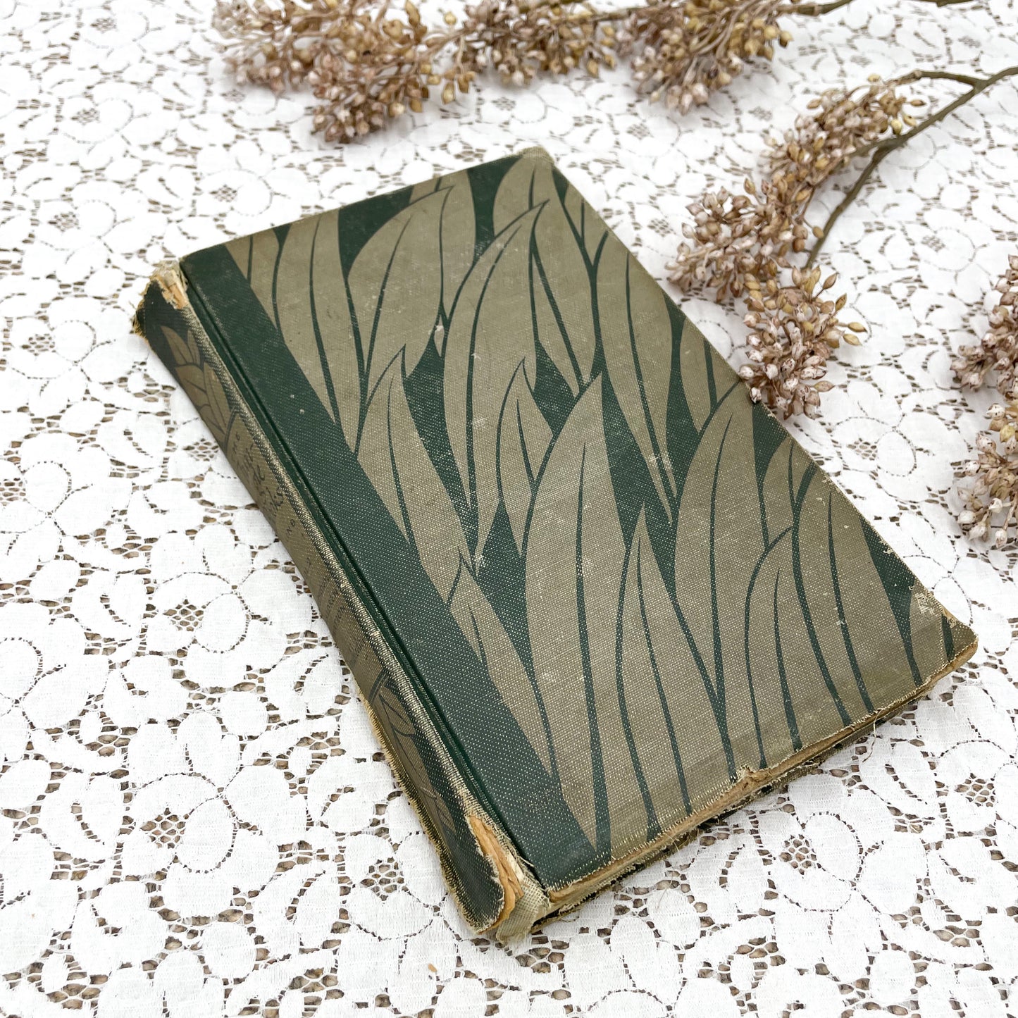 The Jungle Books Volume 2