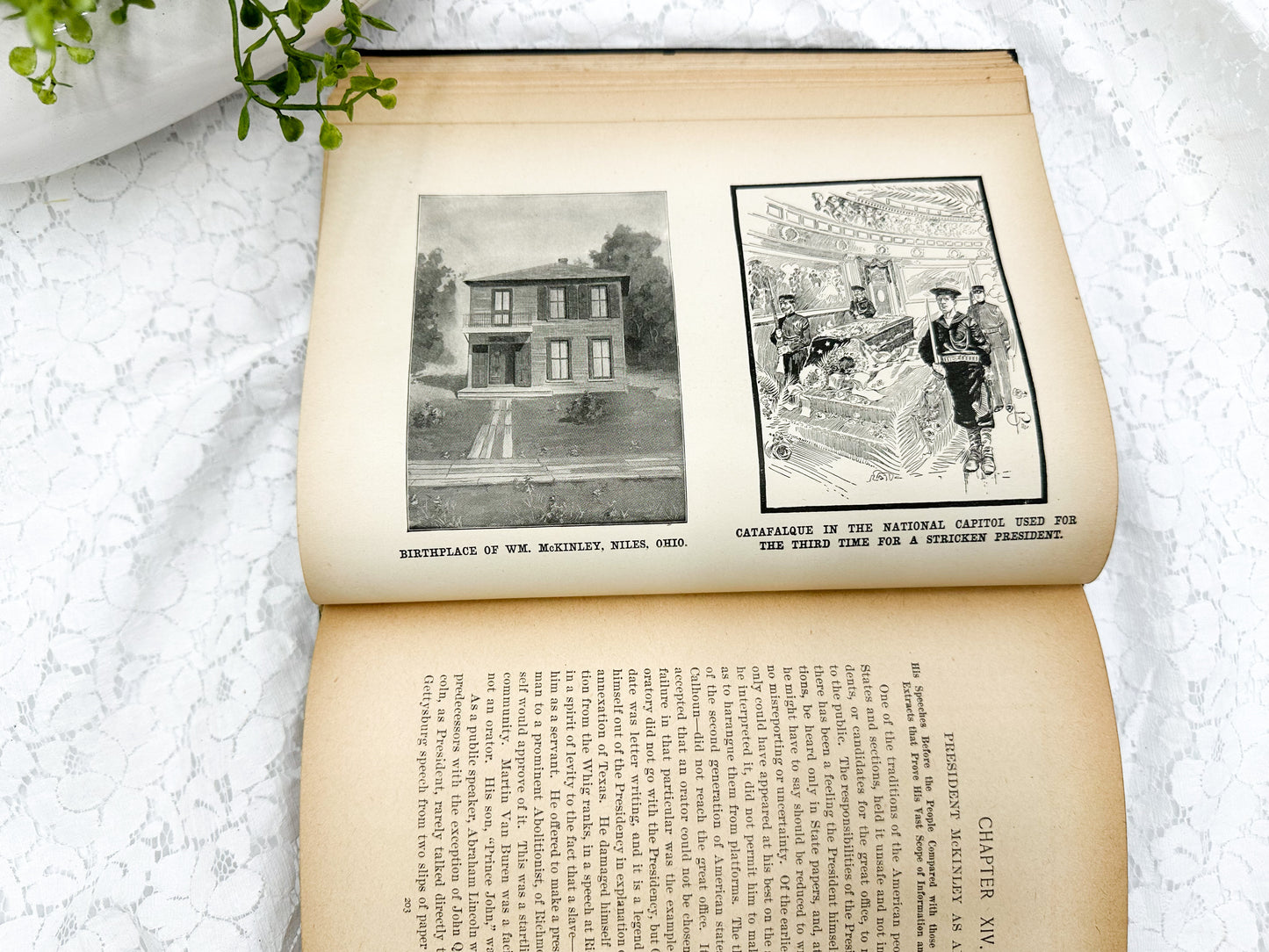 The Illustrious Life of William McKinley, 1901