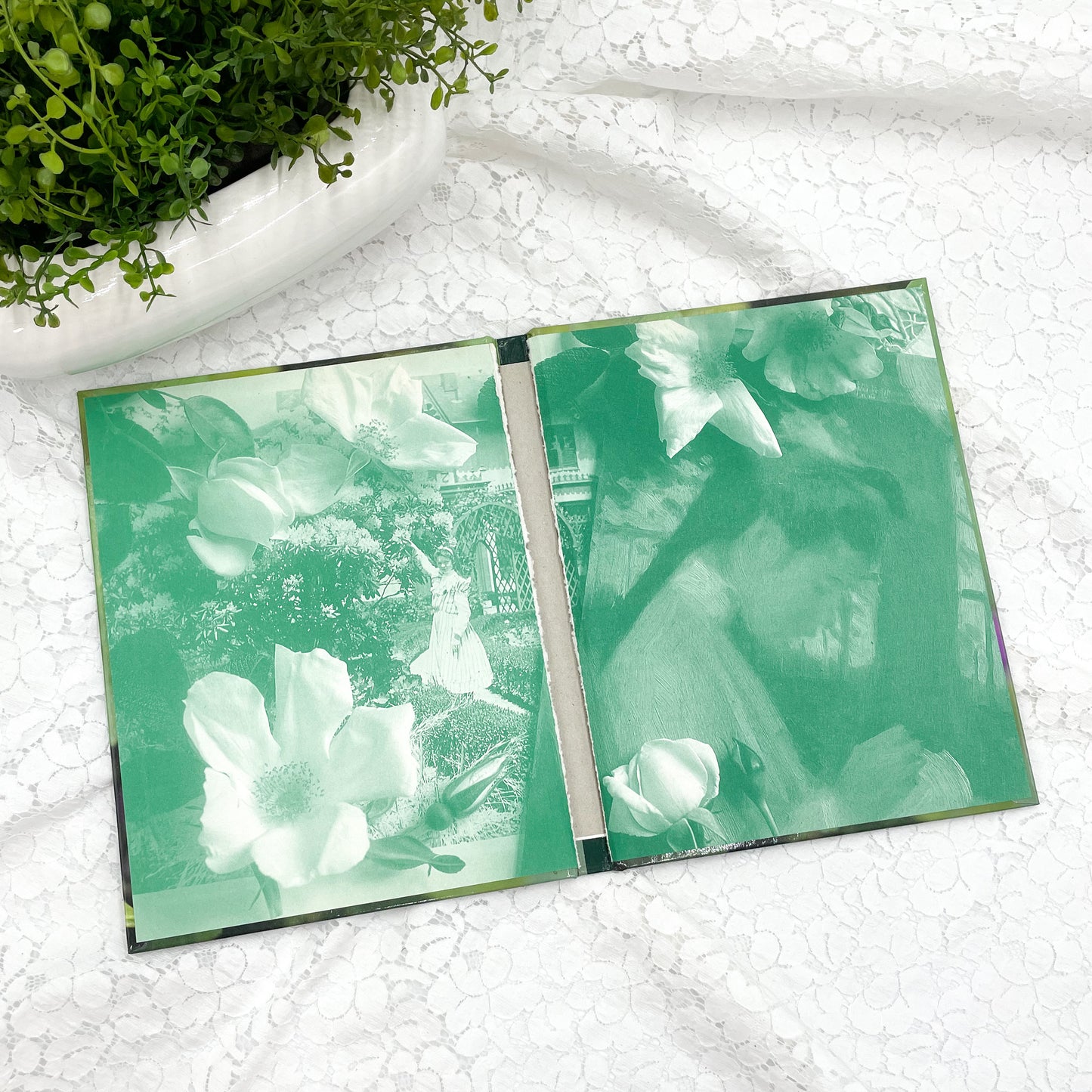Viintage Book Cover