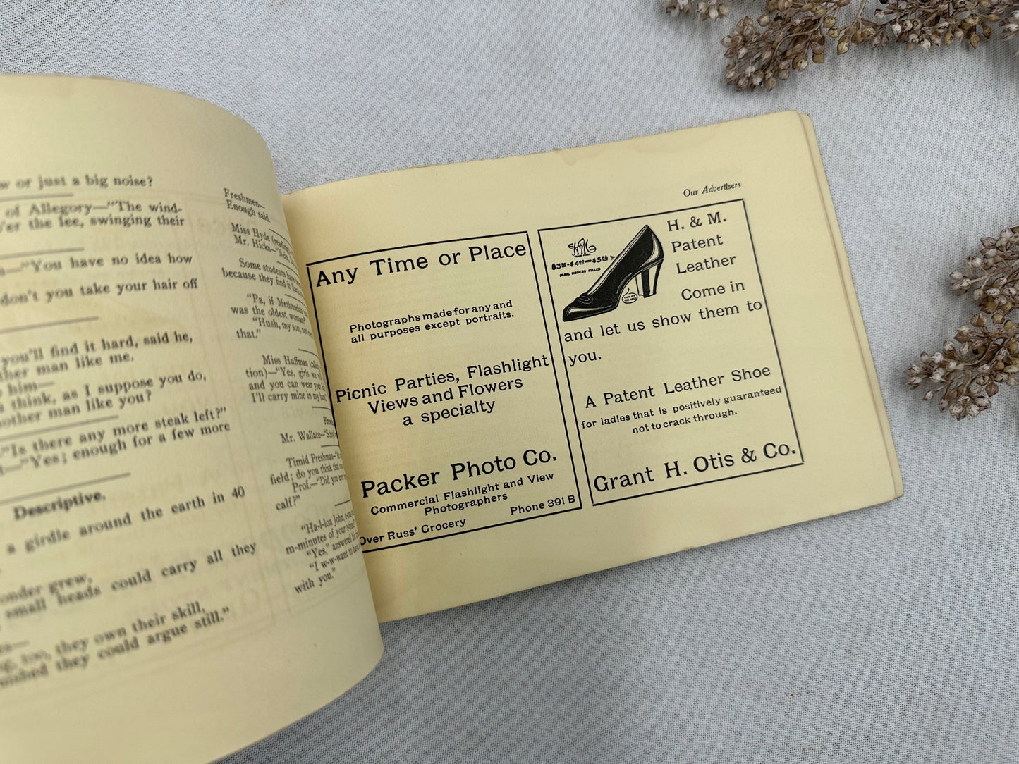 The Druid Year Book- 1911