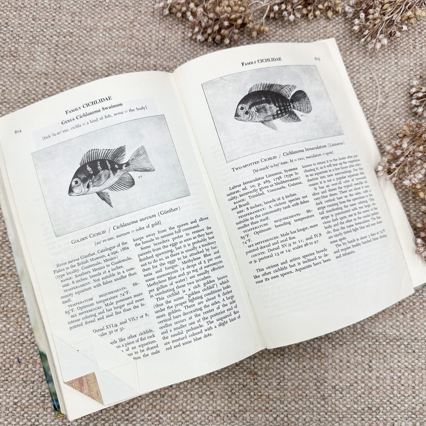 Handbook of Tropical Aquarium Fishes