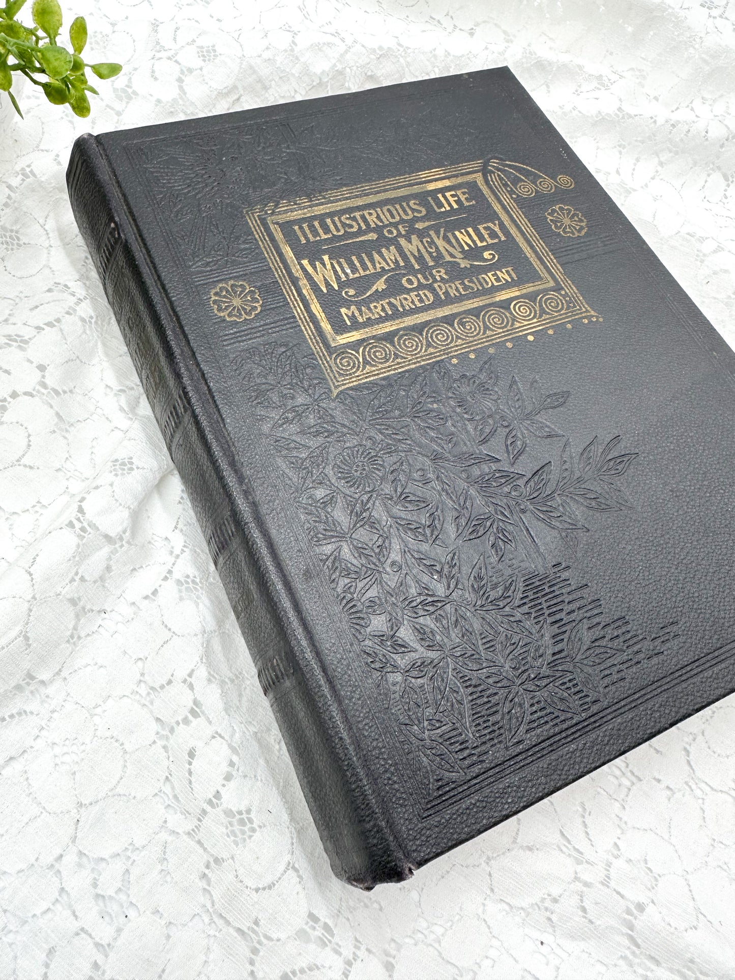 The Illustrious Life of William McKinley, 1901