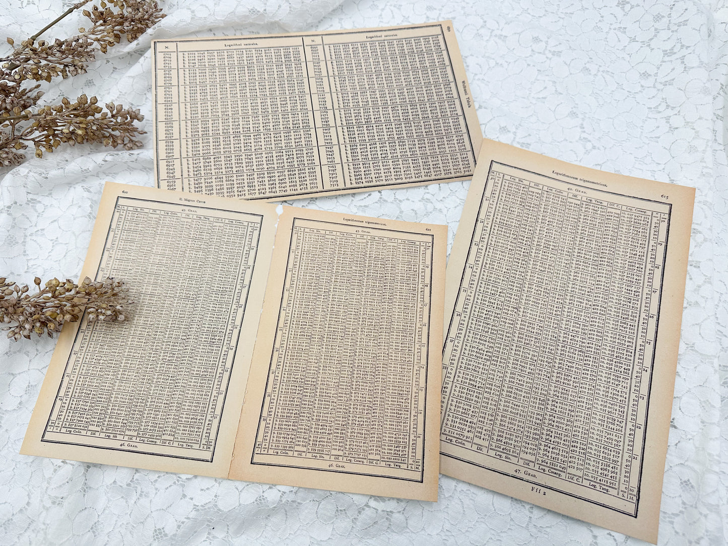 Vintage Tables- Digital Download