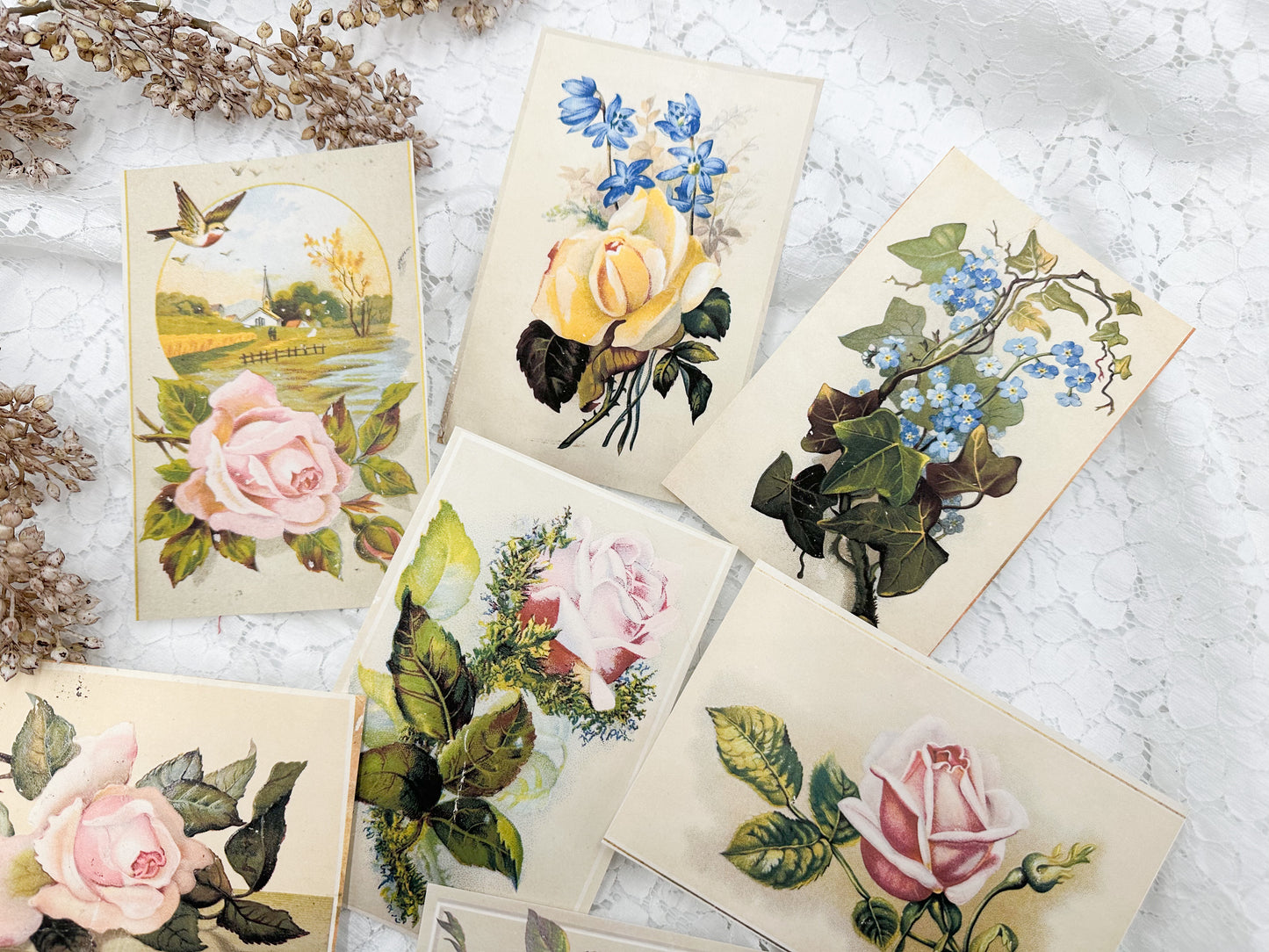 Floral Postcards- Digital Download