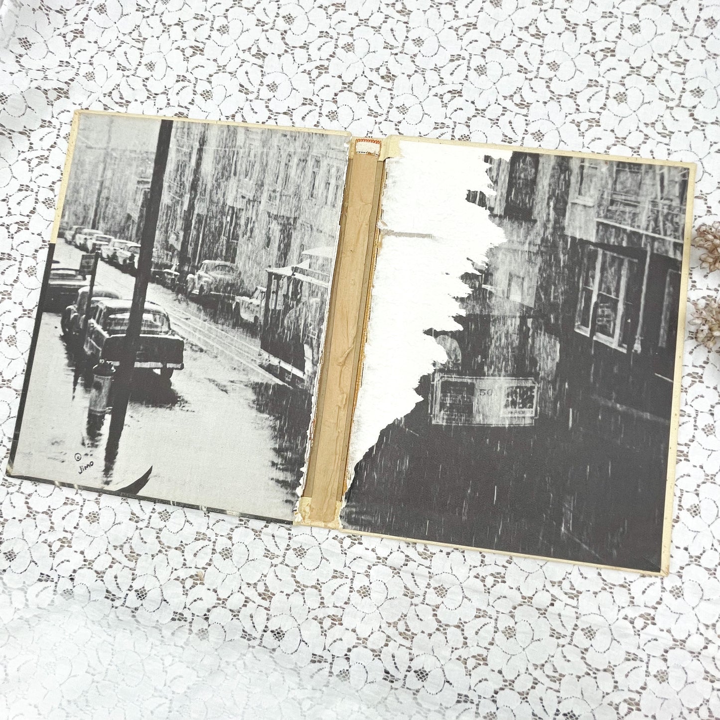 Vintage Book Cover