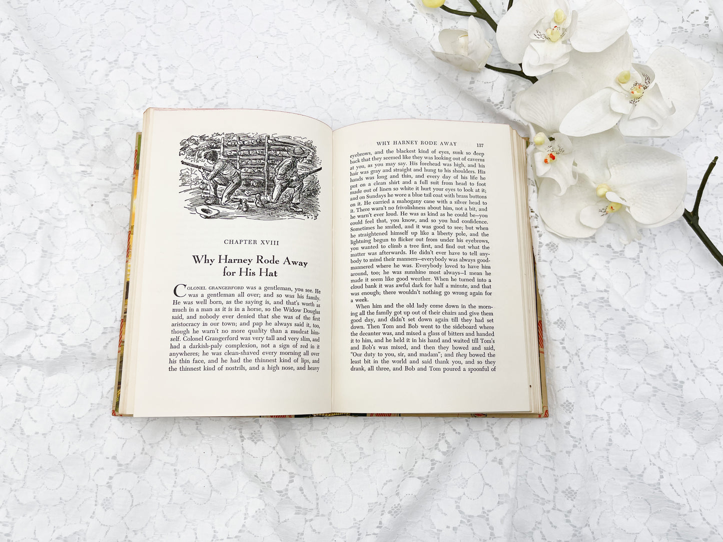 The Adventures of Huckleberry Finn