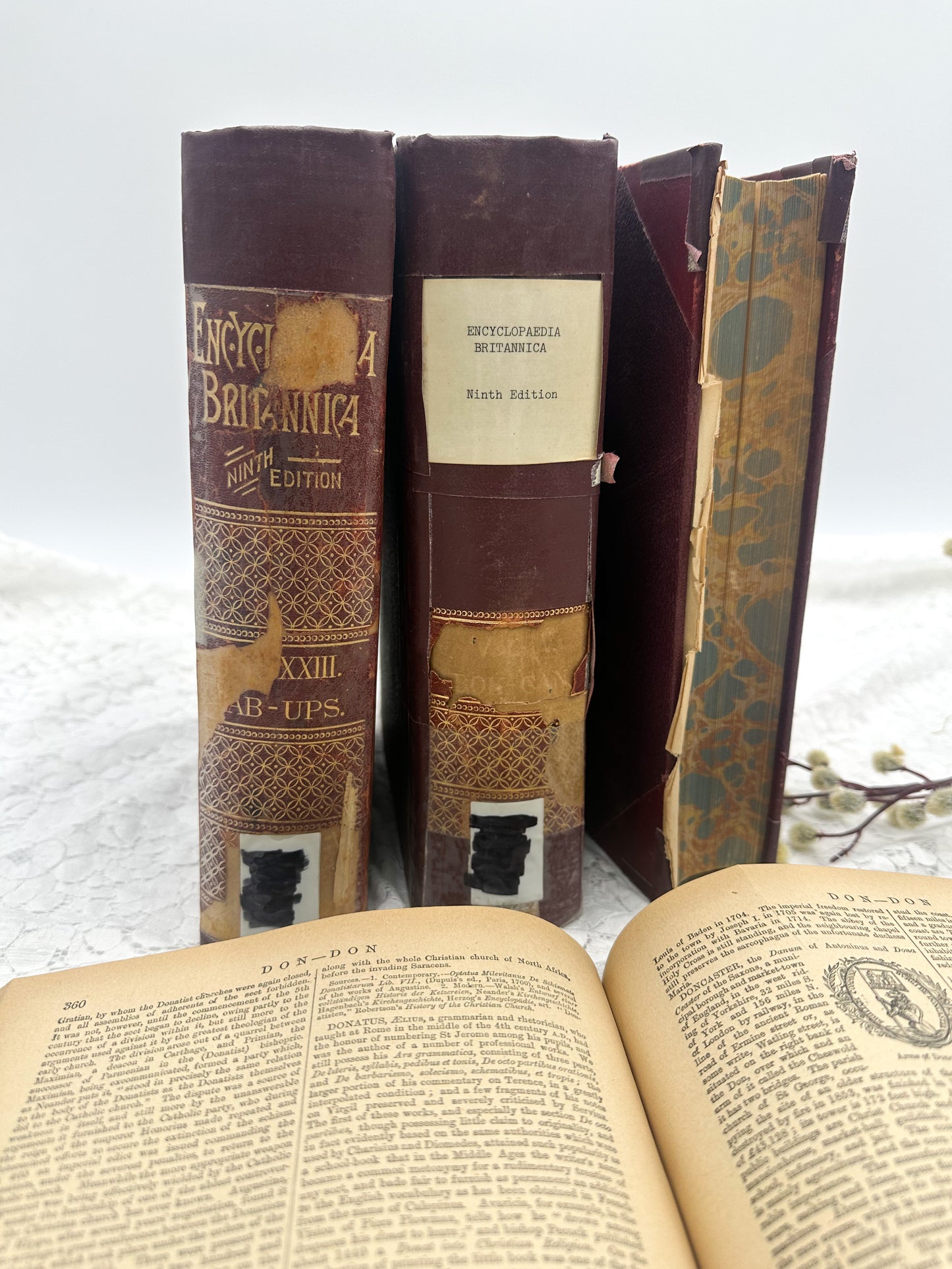Encyclopedia Britannica Book