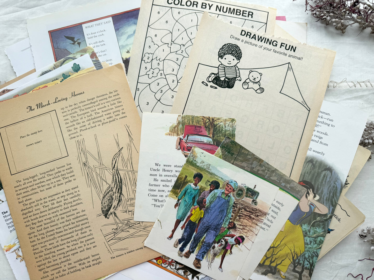 Children's Page Pack