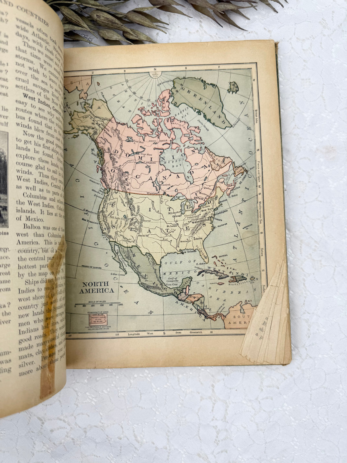New Geography Book