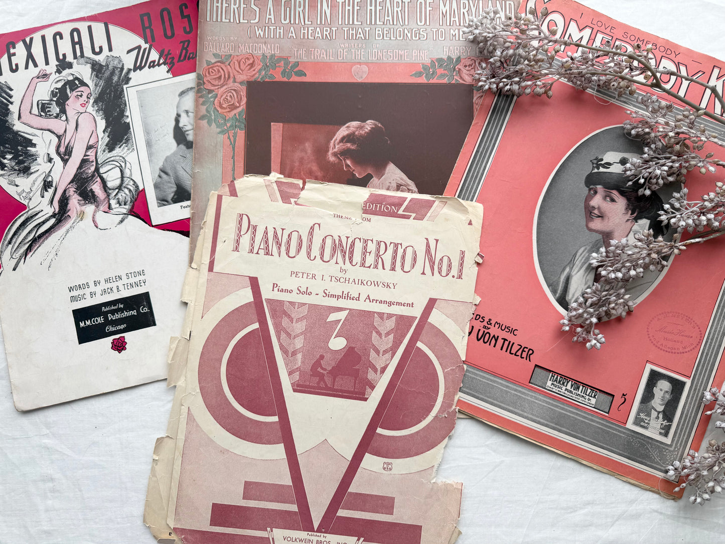 Vintage Music Set