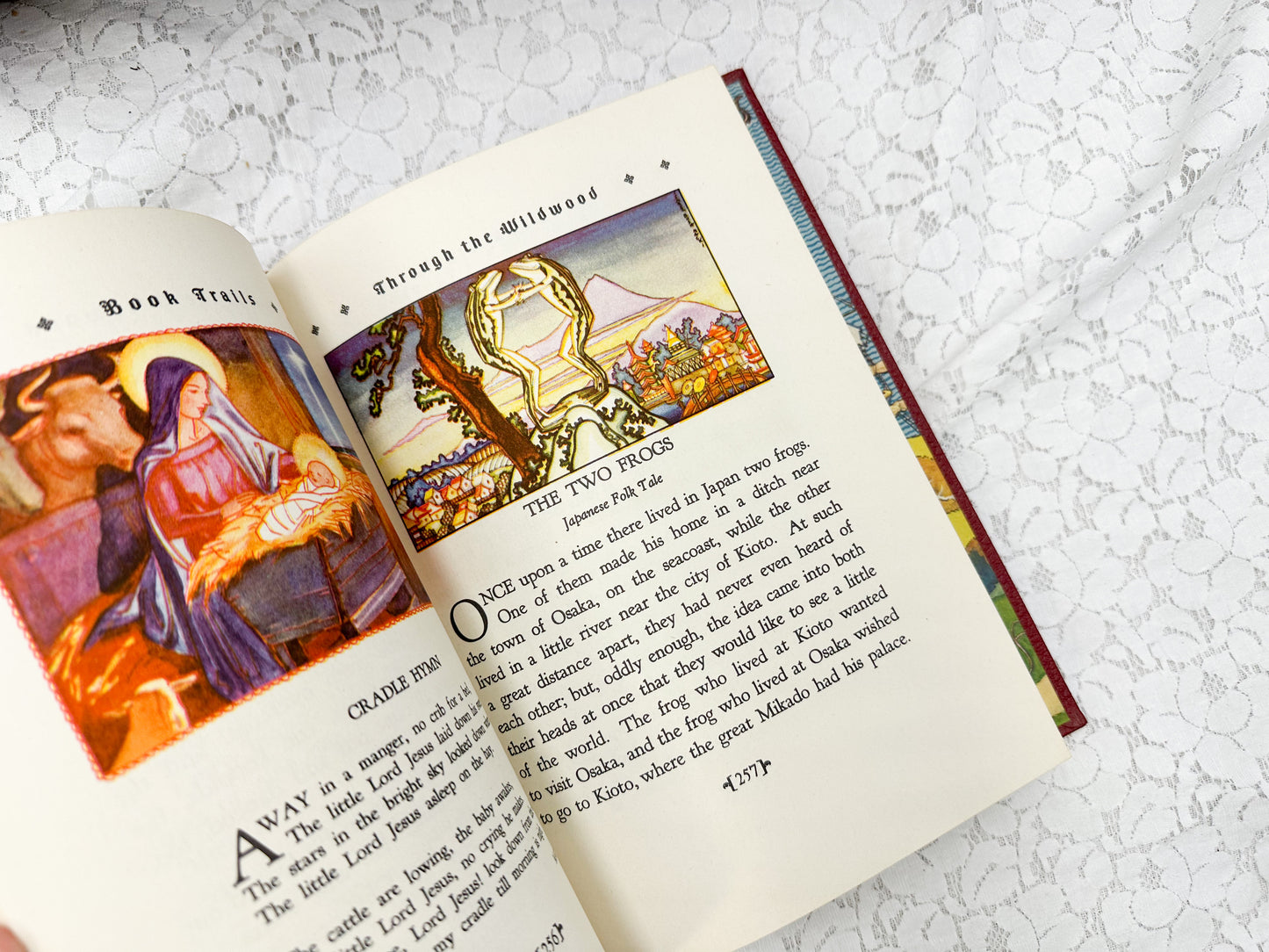 Book Trails Book (8 Available)