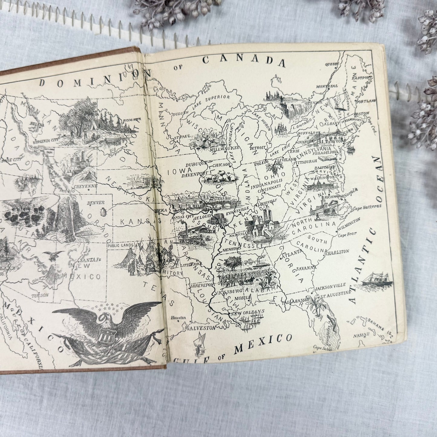 Lives of the Presidents