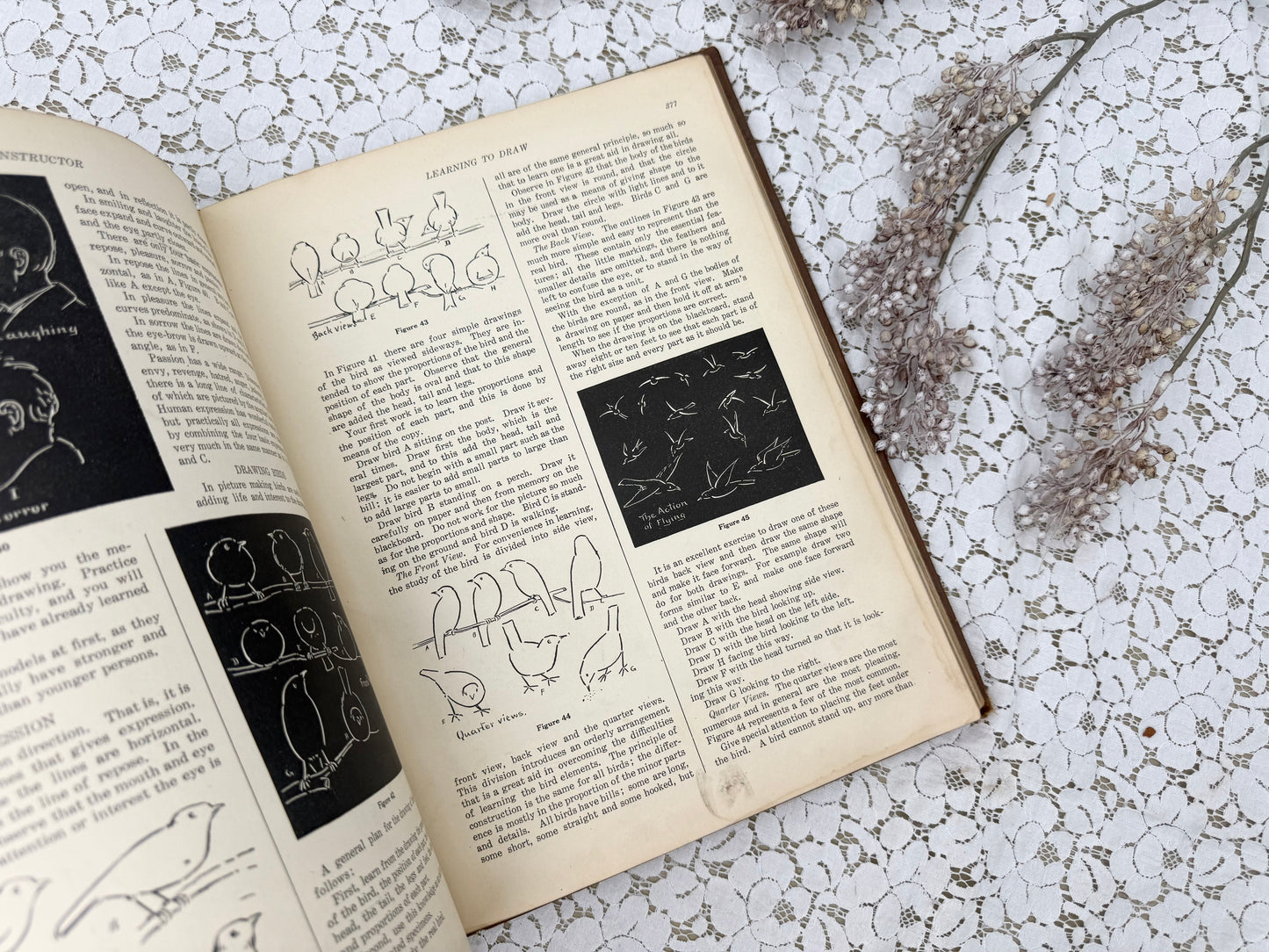 Junior Instructor Book