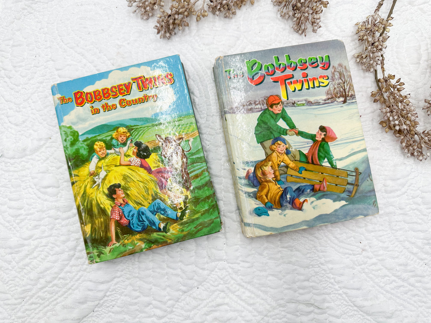 Vintage Bobbsey Twin Books (Set of Two)