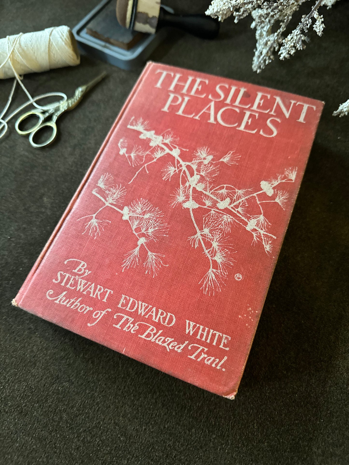Beautiful Vintage Book
