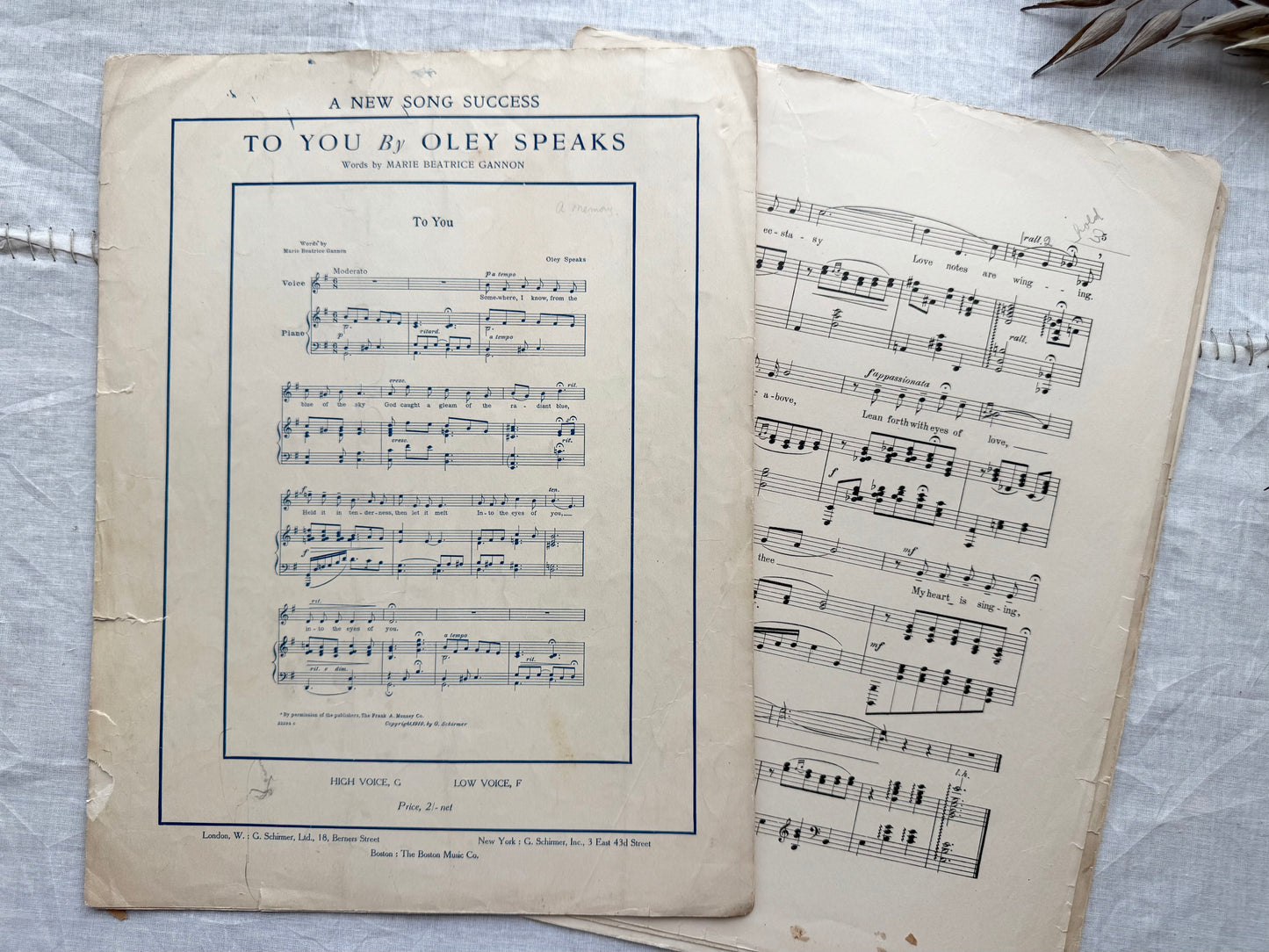 Vintage Sheet Music Collection