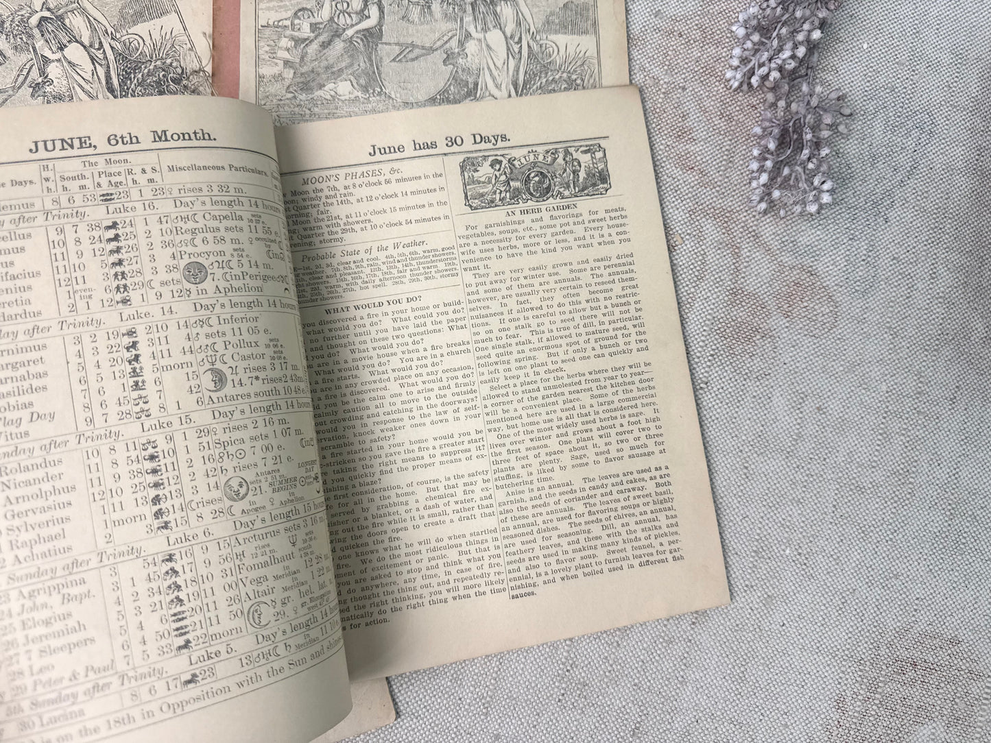 Vintage Almanac Set