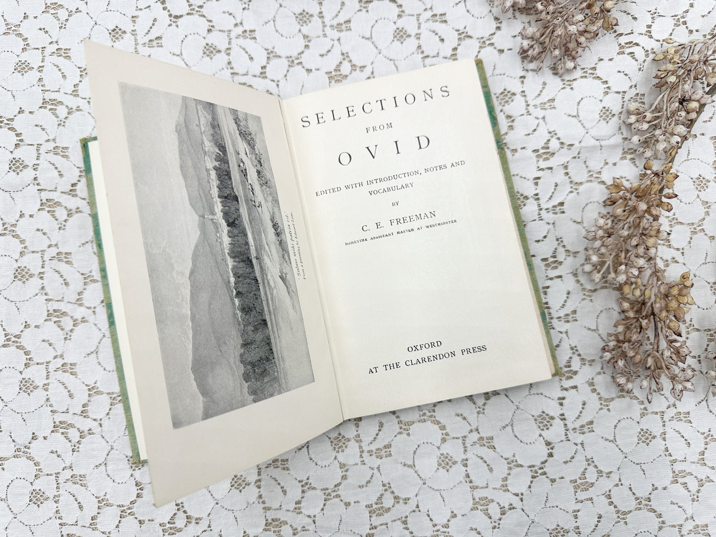 Ovid Selections