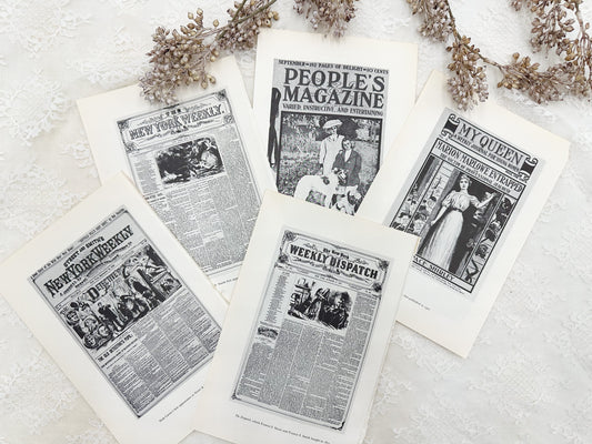 Vintage Media Plate Set