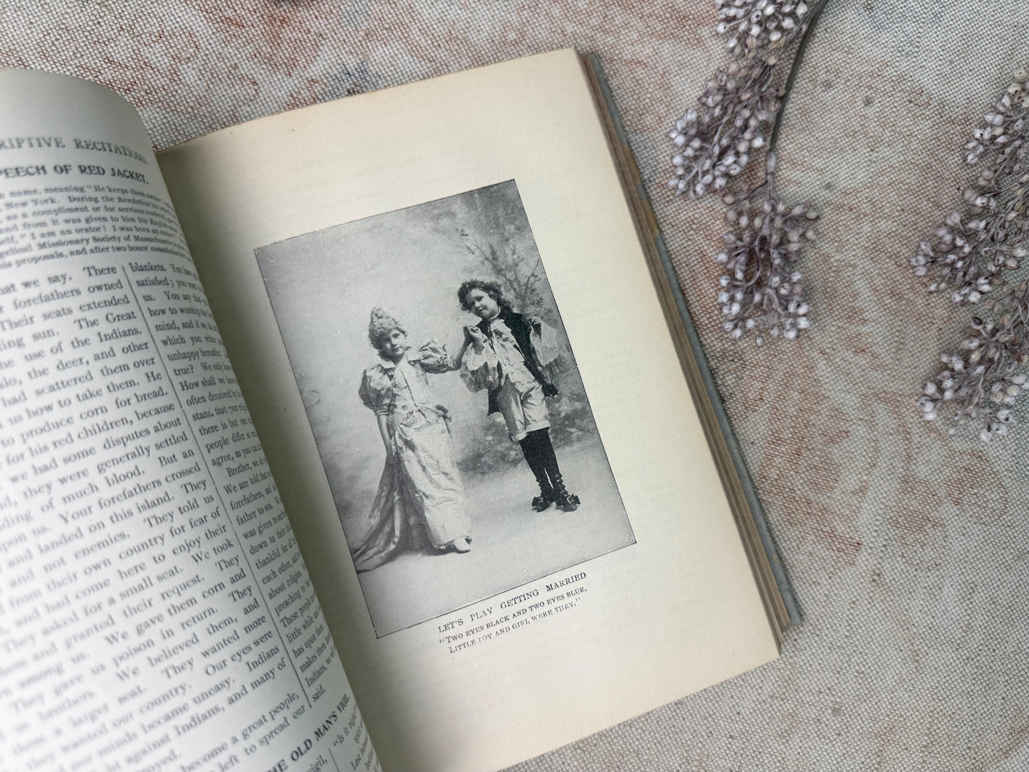 Vintage Book