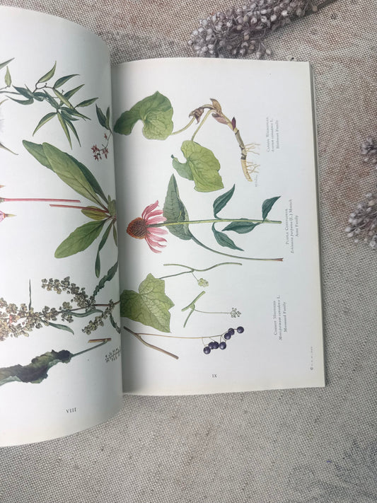 National Geographic Magazine