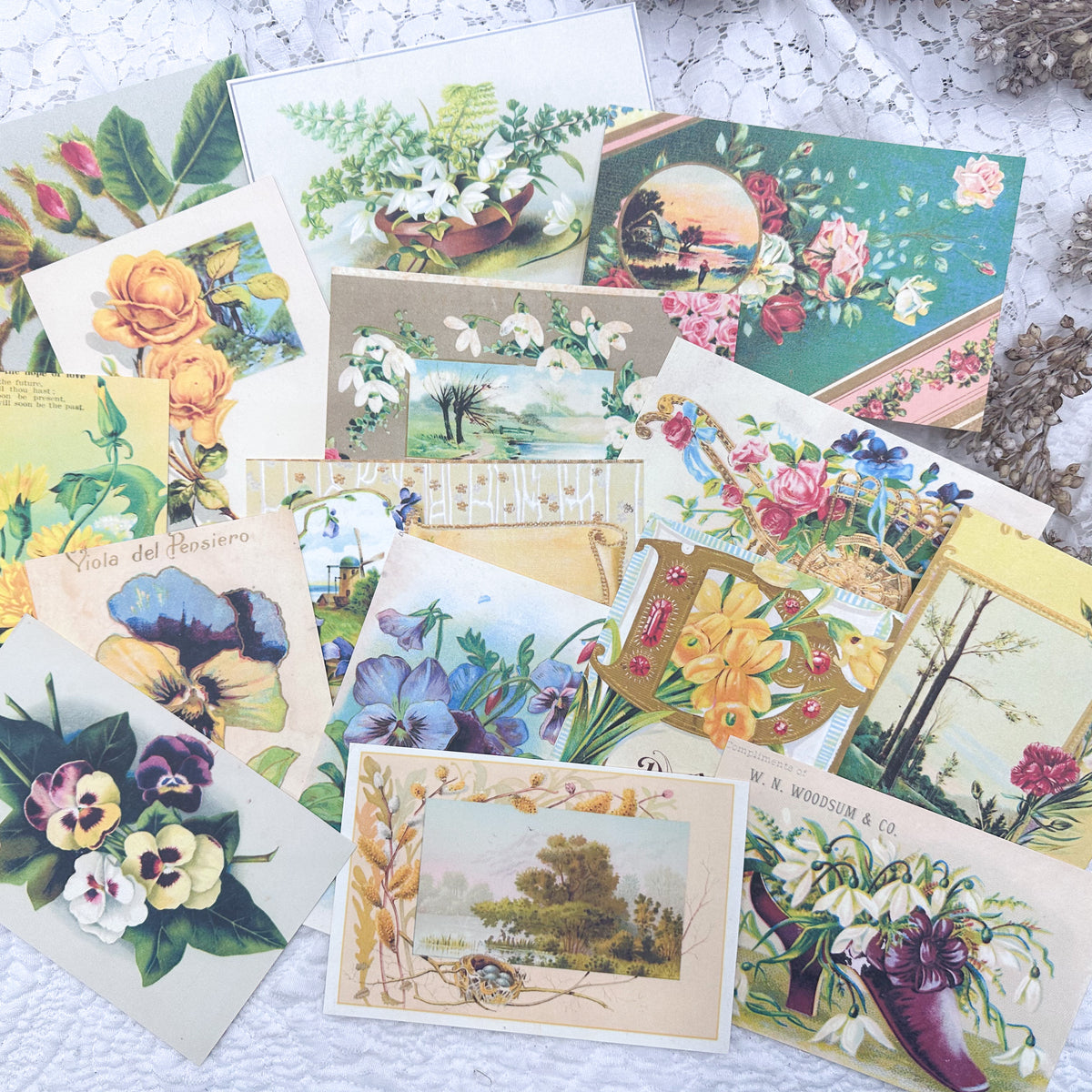 Project Progress Postcards Postcard Project Template- Digital Download – A House of Books