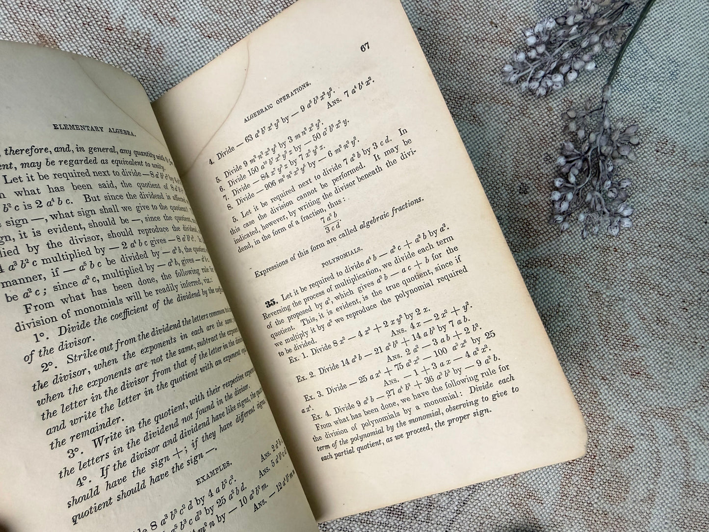 Vintage Textbook Set