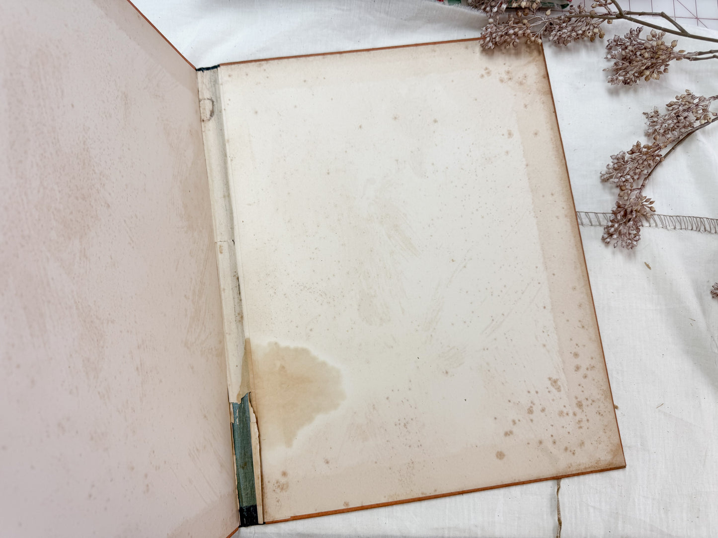 Vintage Portfolio Cover