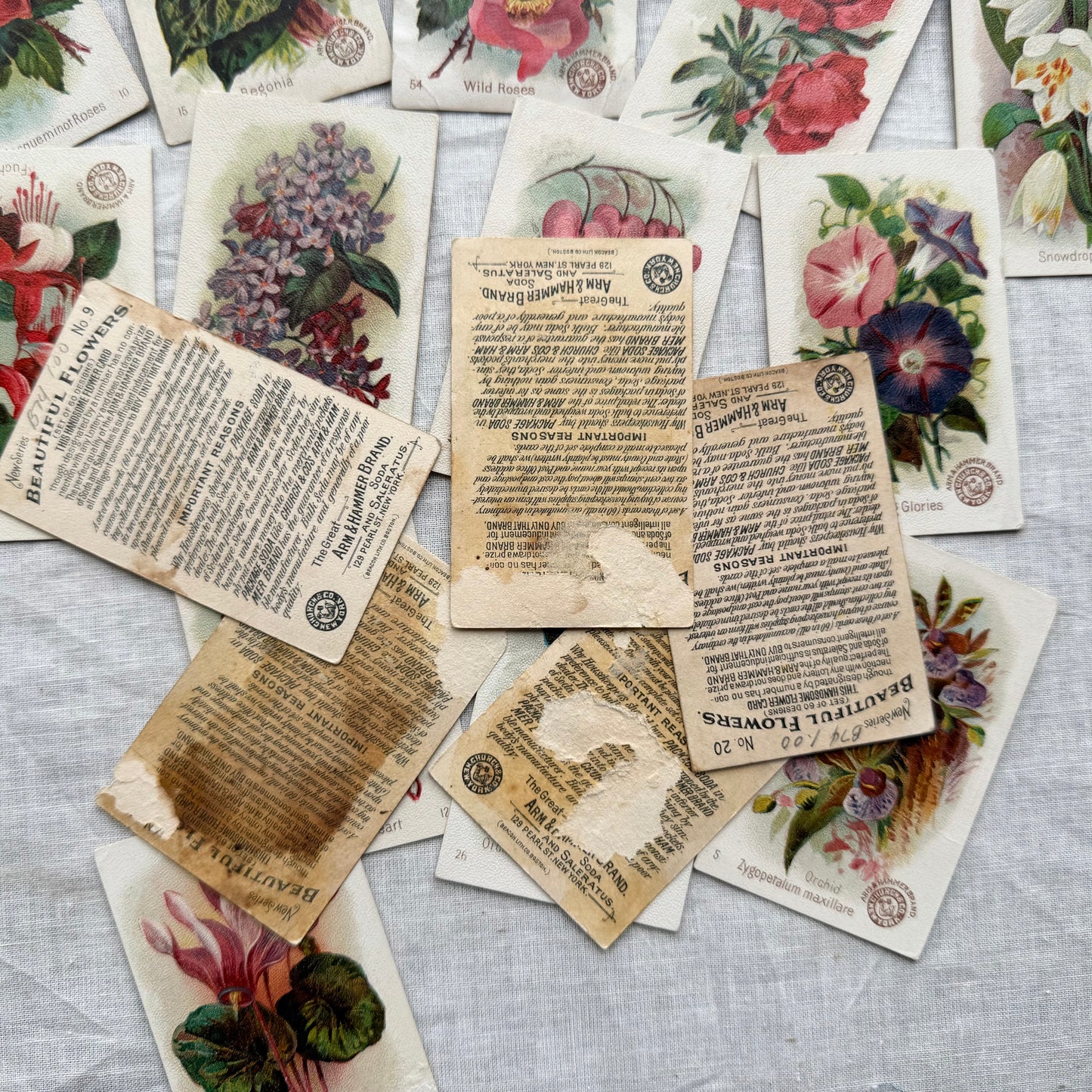Vintage Floral Trading Card Set