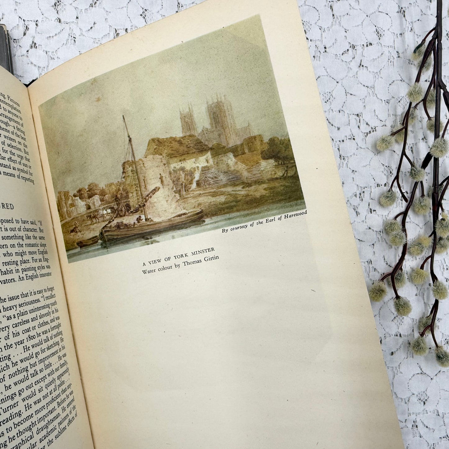 Illustrated Book Set