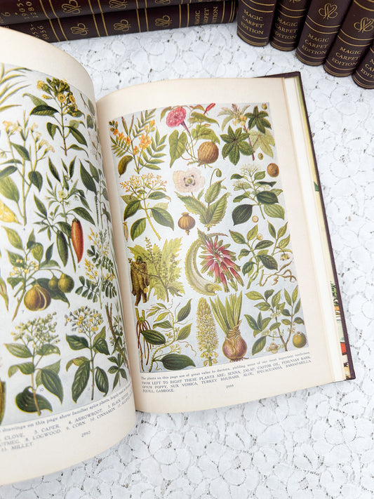 Illustrated Book of Knowledge (Price for One Book)
