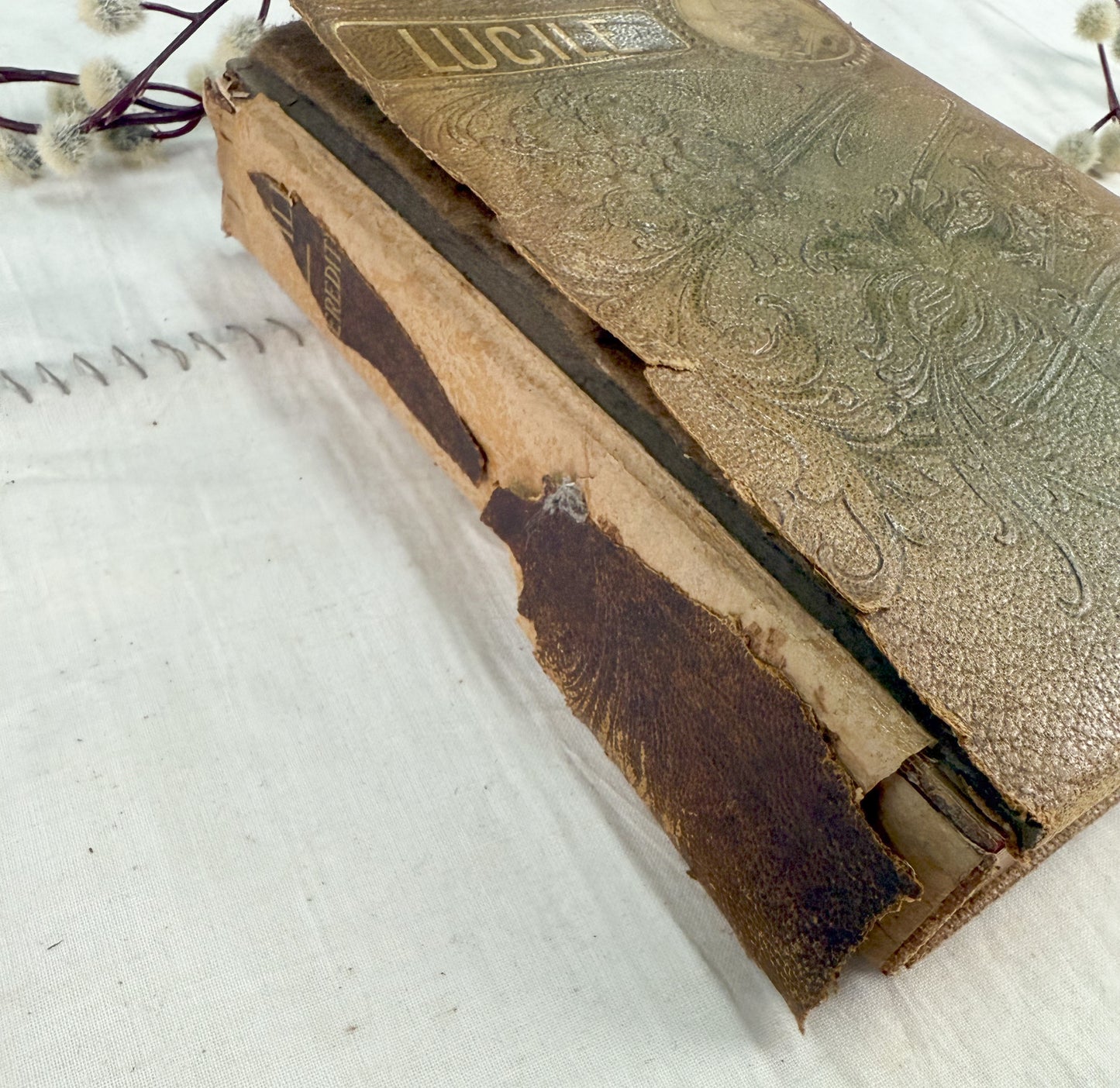 Tattered Lucile Book