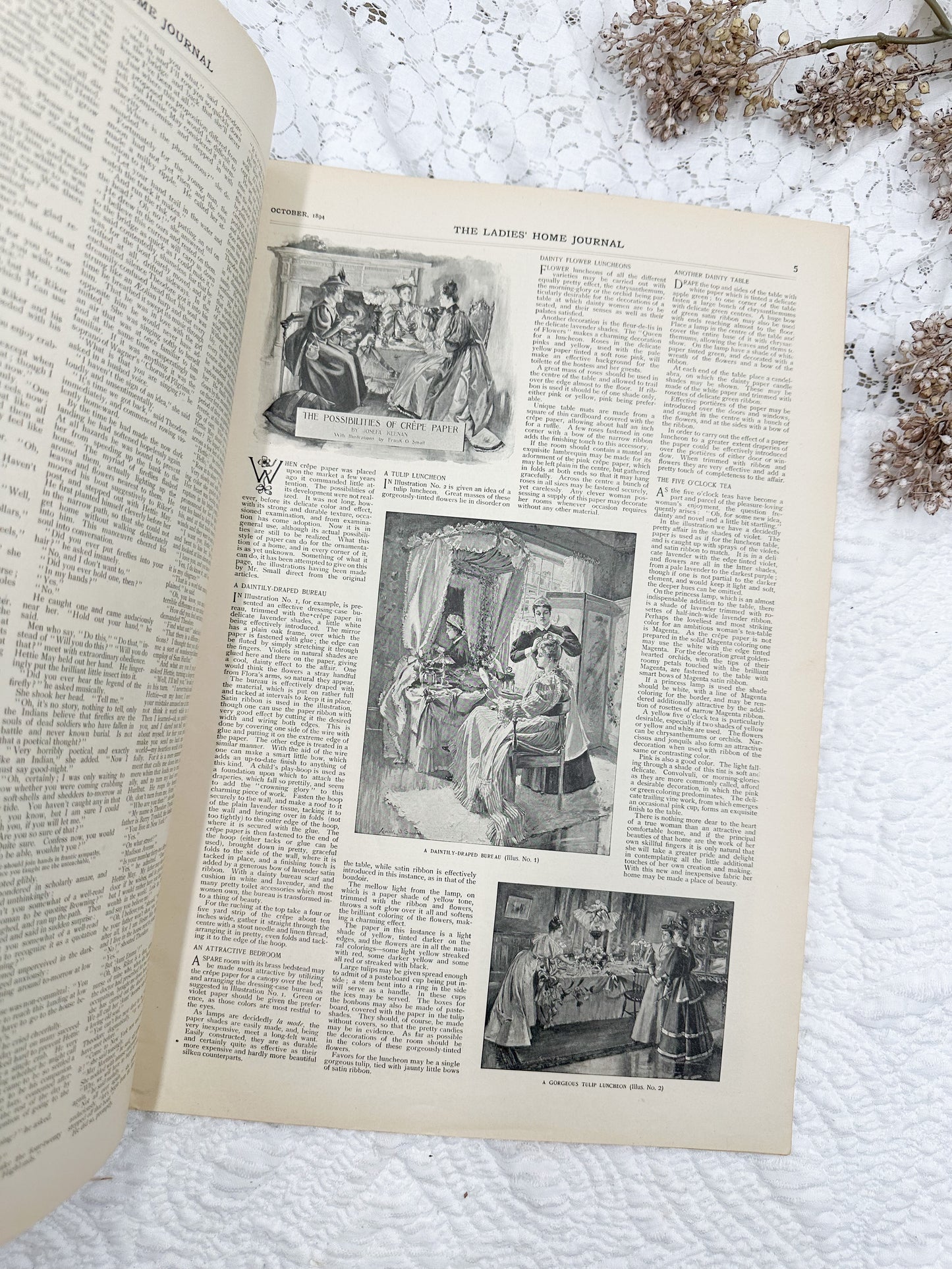 1894 Ladies Home Journal Magazine