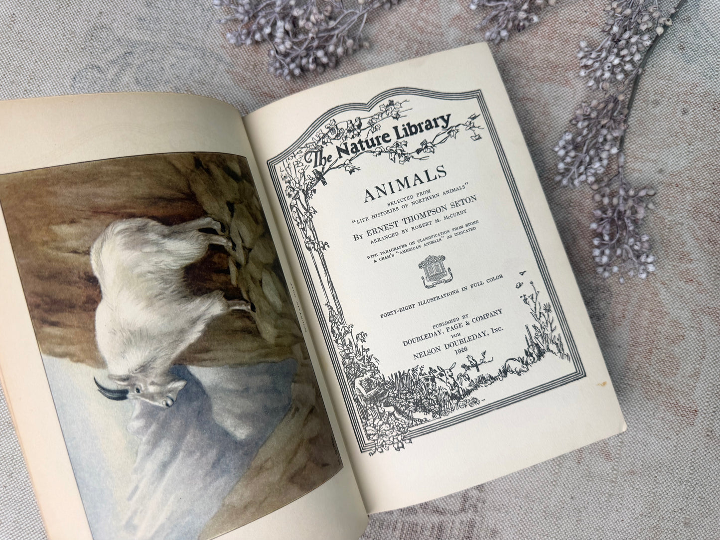 The Nature Library- Animals