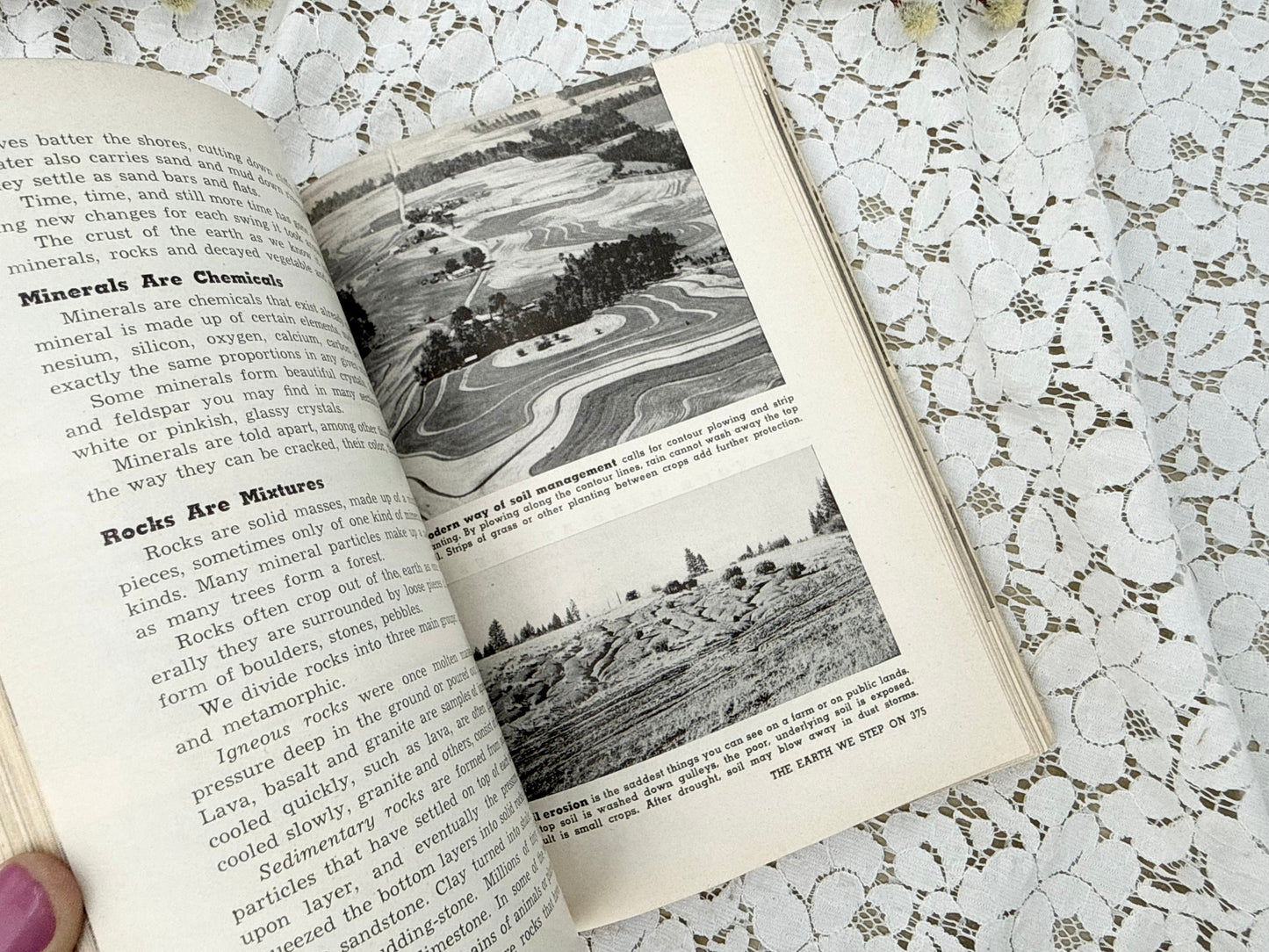 Scout Field Guide
