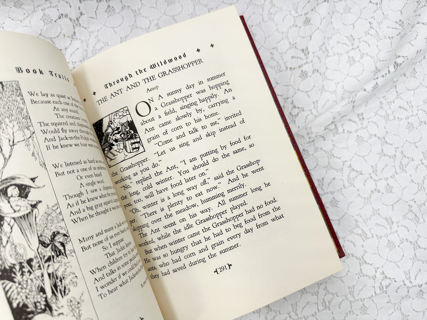Book Trails Book (8 Available)