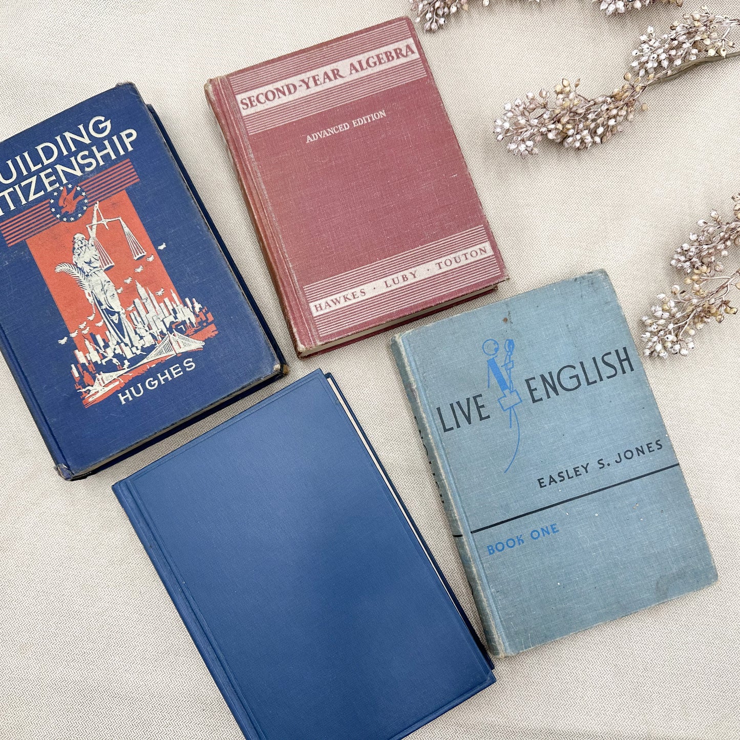 Set of Four Vintage Textbooks