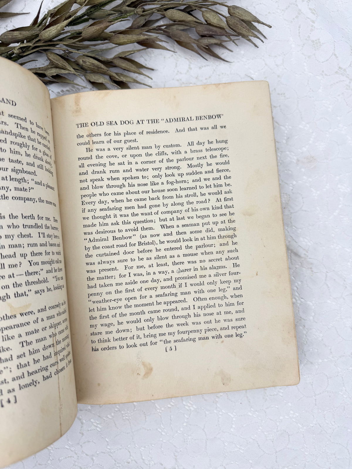 Treasure Island Book