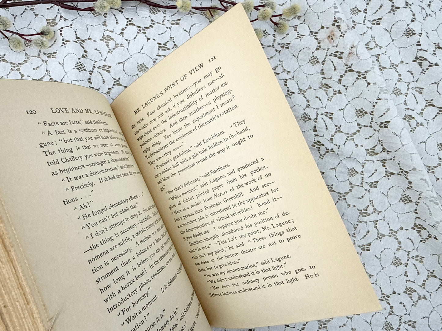 Love and Mr. Lewisham Book