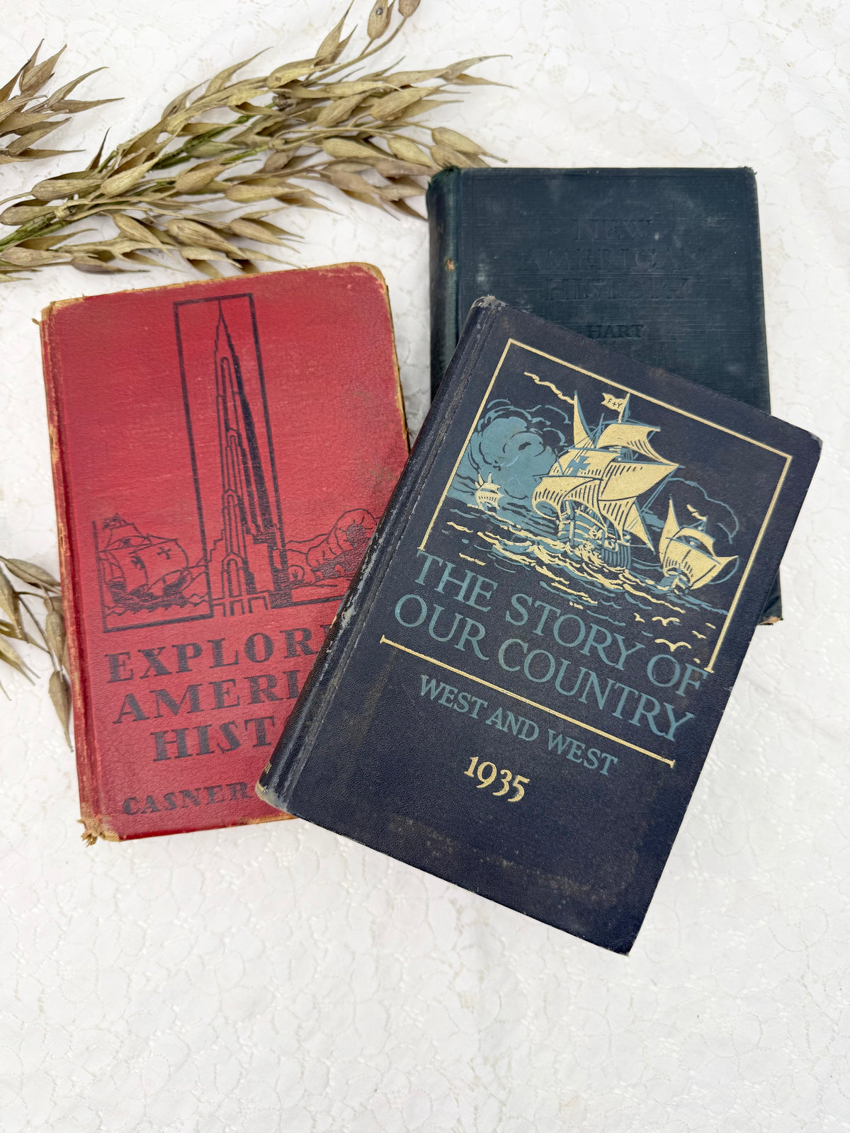 Vintage Textbook Set