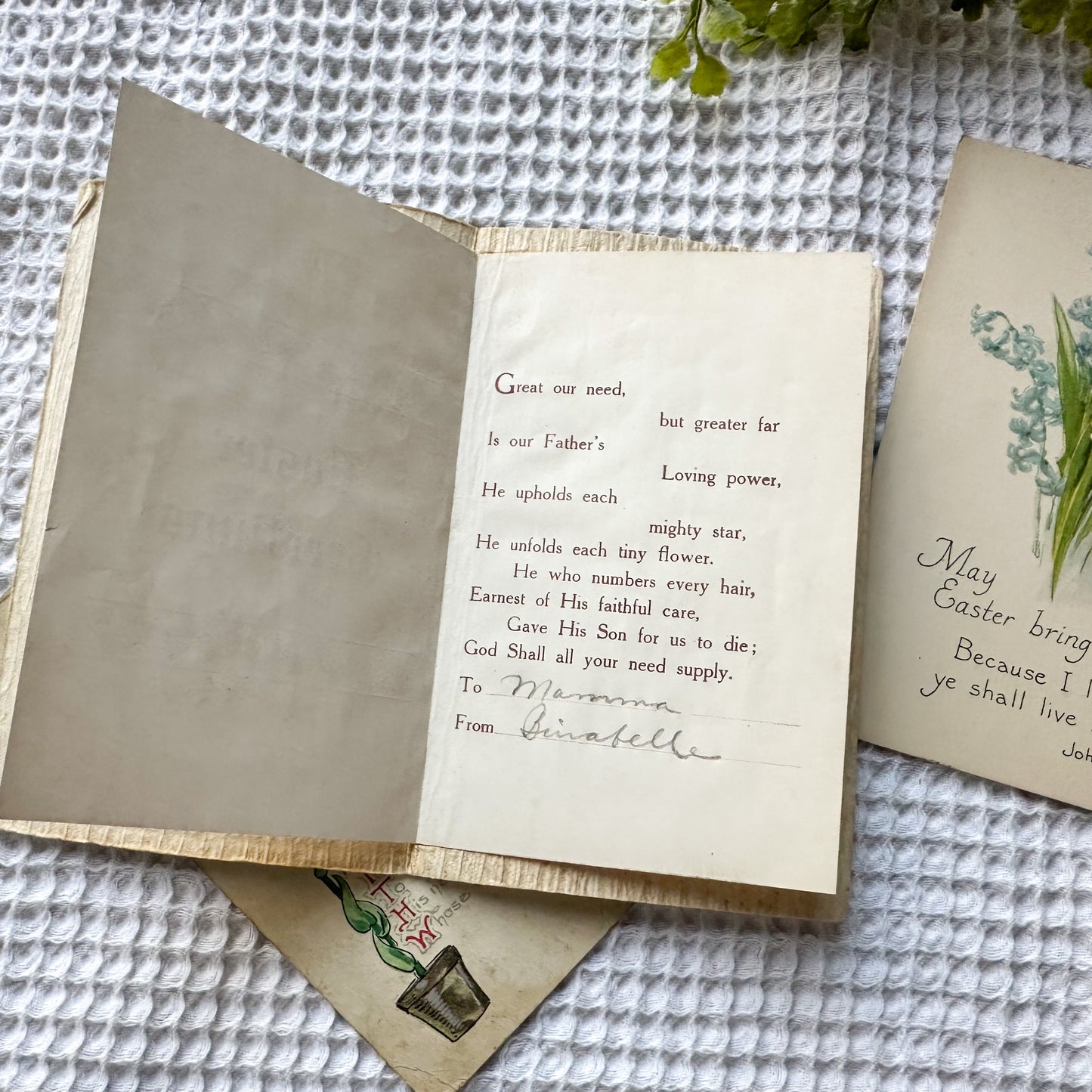 Vintage Postcard Set