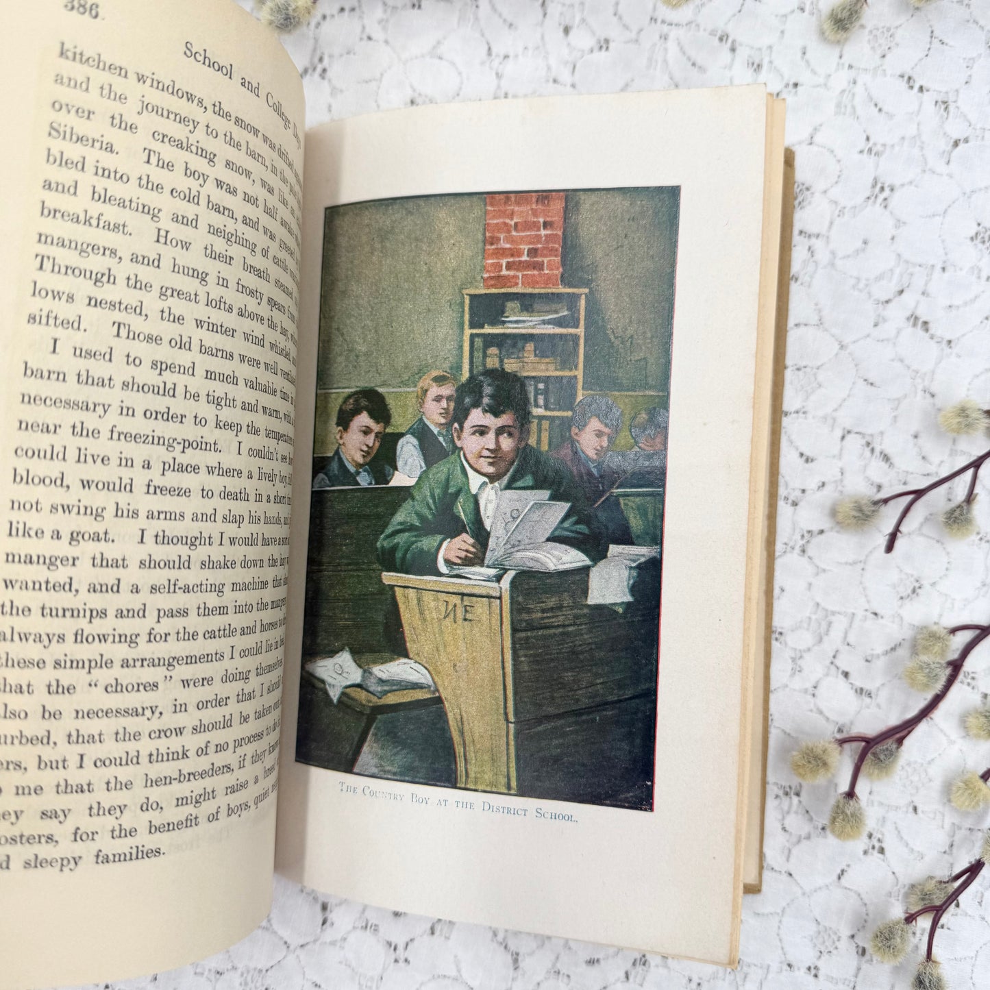 Vintage Illustrated Book